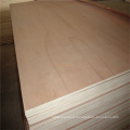 Provide AA grade good nature veneer plywood price